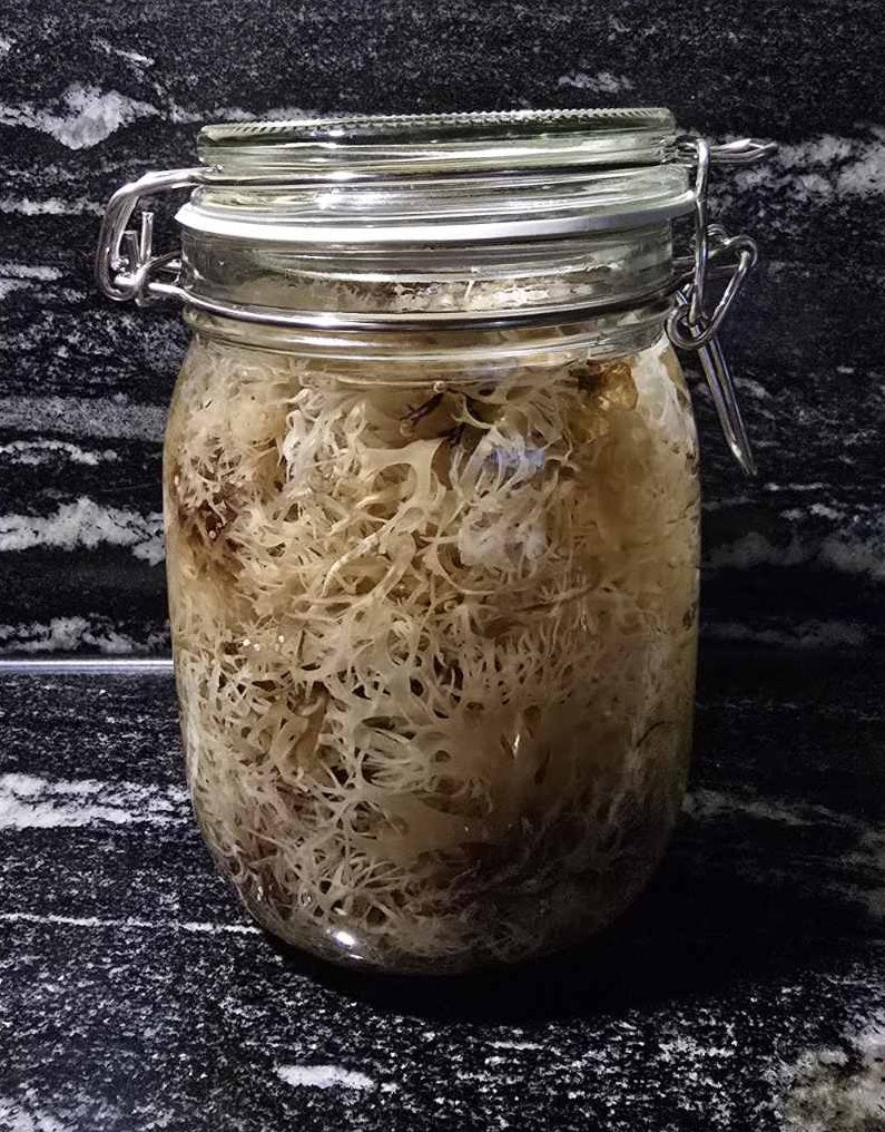 Irish mos ( Iers moss ) - Biologisch