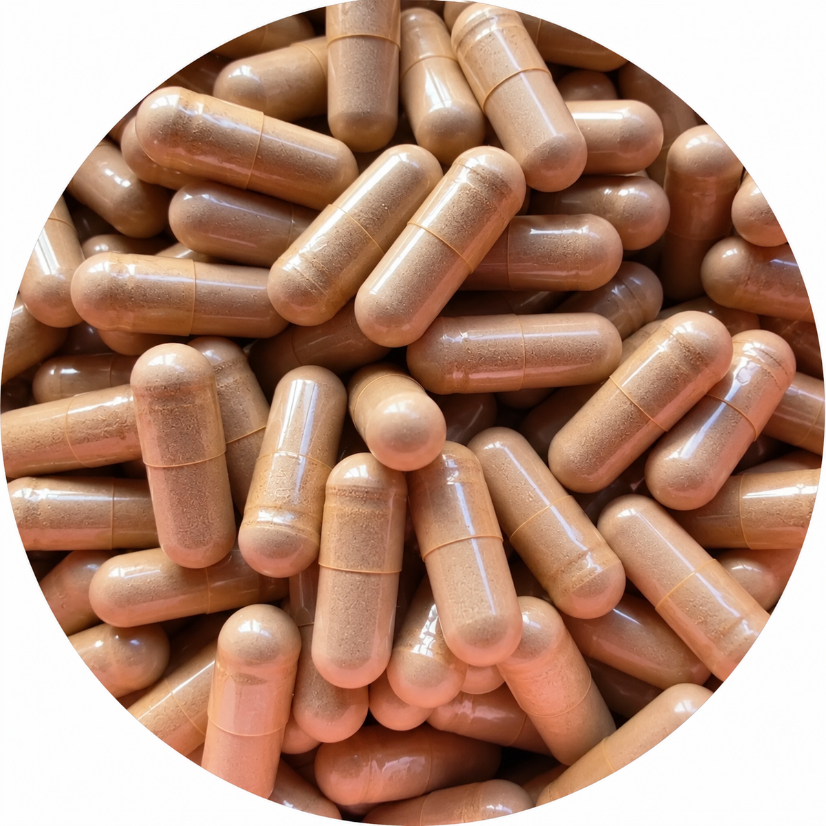 Reishi Capsules - Biologisch