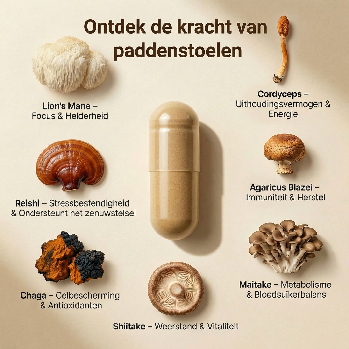 7 Mushroom Mix Capsules – Organic