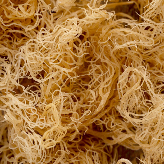 Irish mos ( Iers moss ) - Biologisch