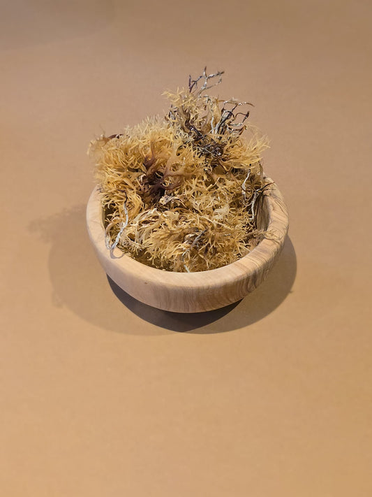 Irish moss ( Iers moss ) - Biologisch