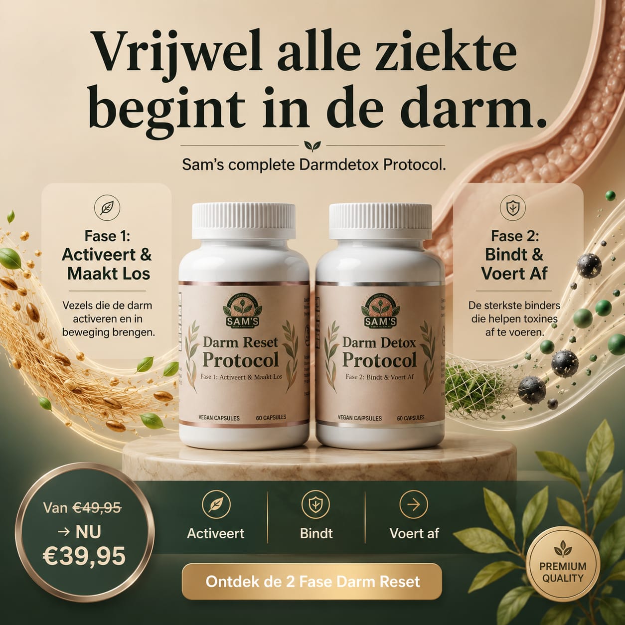 Darm Detox Protocol