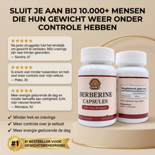 Berberine Capsules - 500MG